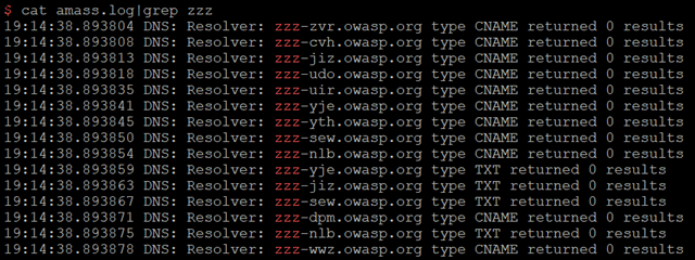 OWASP Amass advanced subdomain discovery with hashcat masks